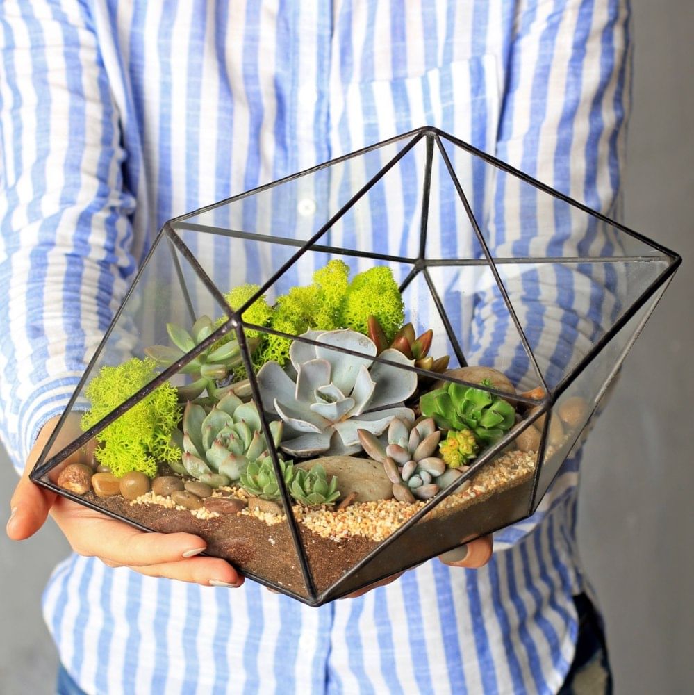 Флорариум Тиффани Капля