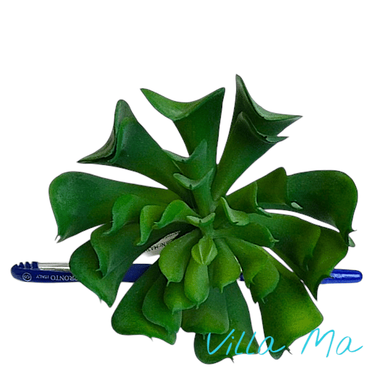 Суккулент искусств.