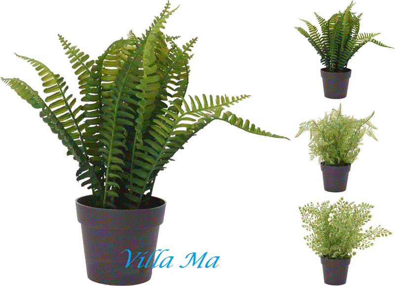 Папоротник в горшке искусств.