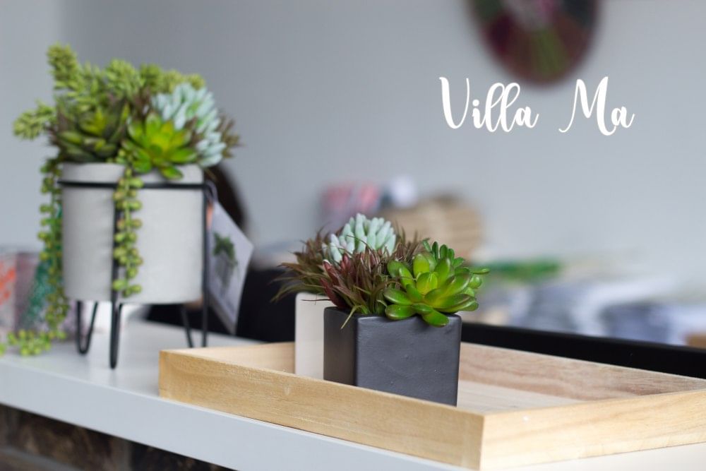 Композиция из искусственных суккулентов