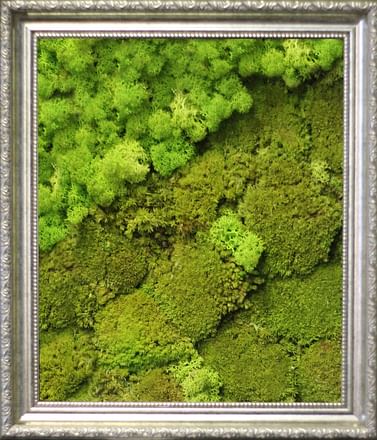 Эко-картина Зелёный лес, мох стабилиз.
