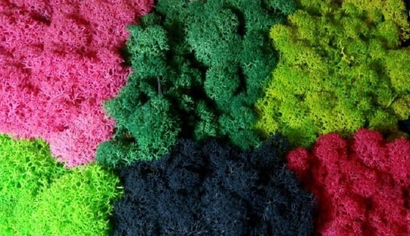 Скандинавский мох 32*32см панно