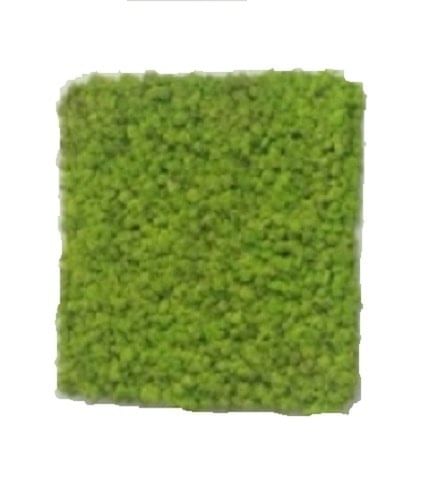 Скандинавский мох 32*32см панно