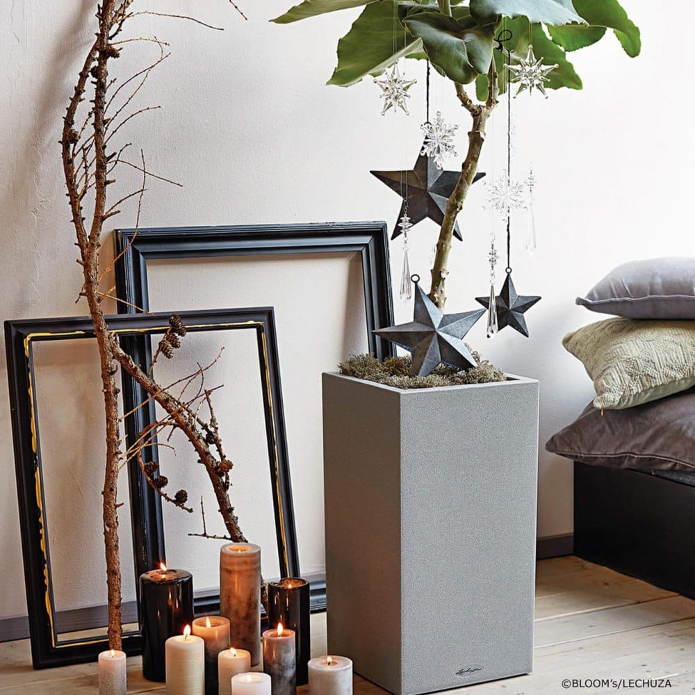 Кашпо Канто Стоун Хай \ CANTO Stone High lechuza