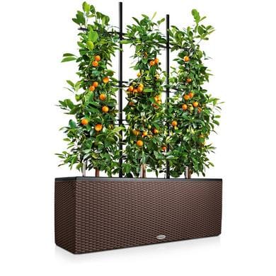 Кашпо - ящик Трио Коттедж \Trio Cottage lechuza