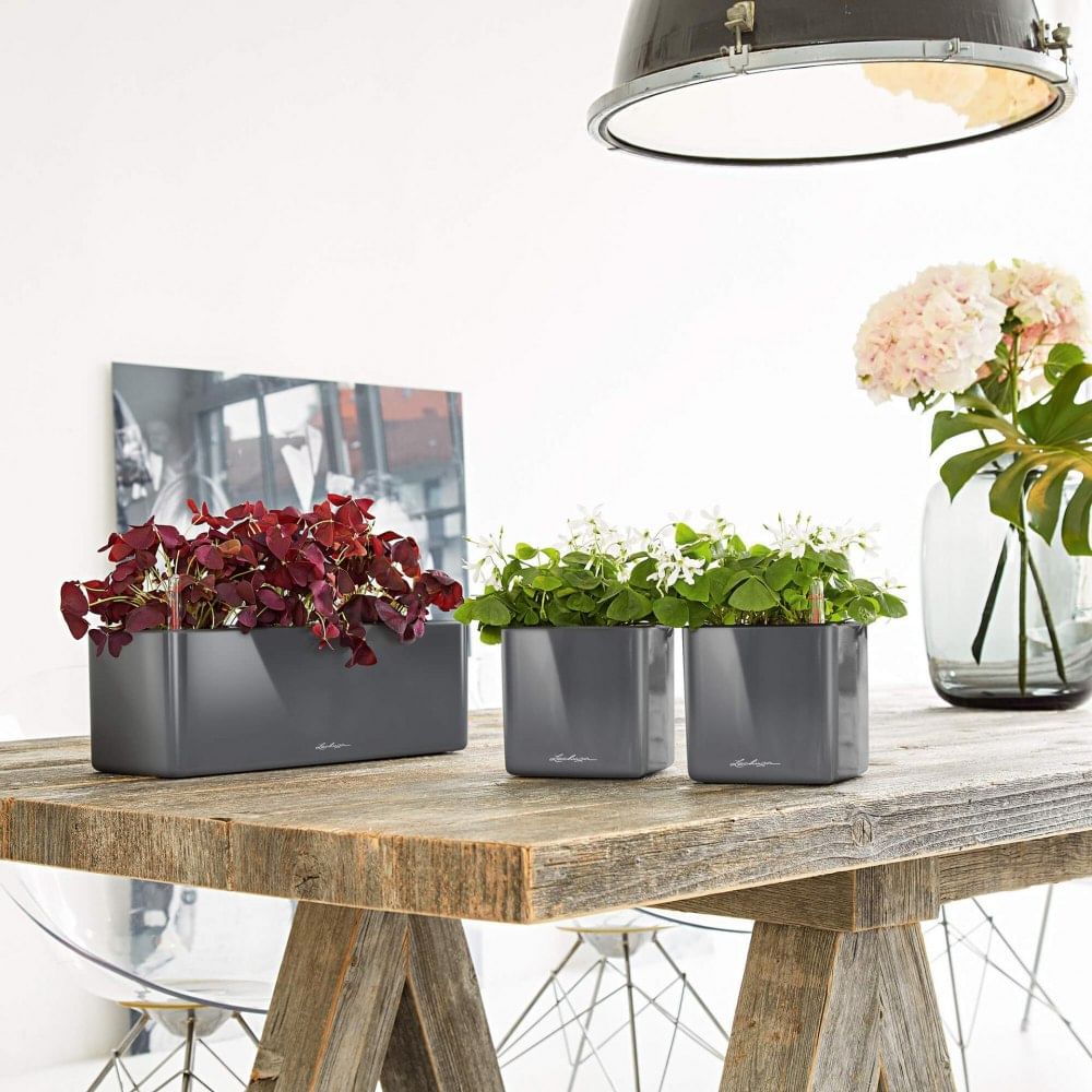 Кашпо - ящик Куб Глоси Трипл \ Cube Glossy Triple lechuza