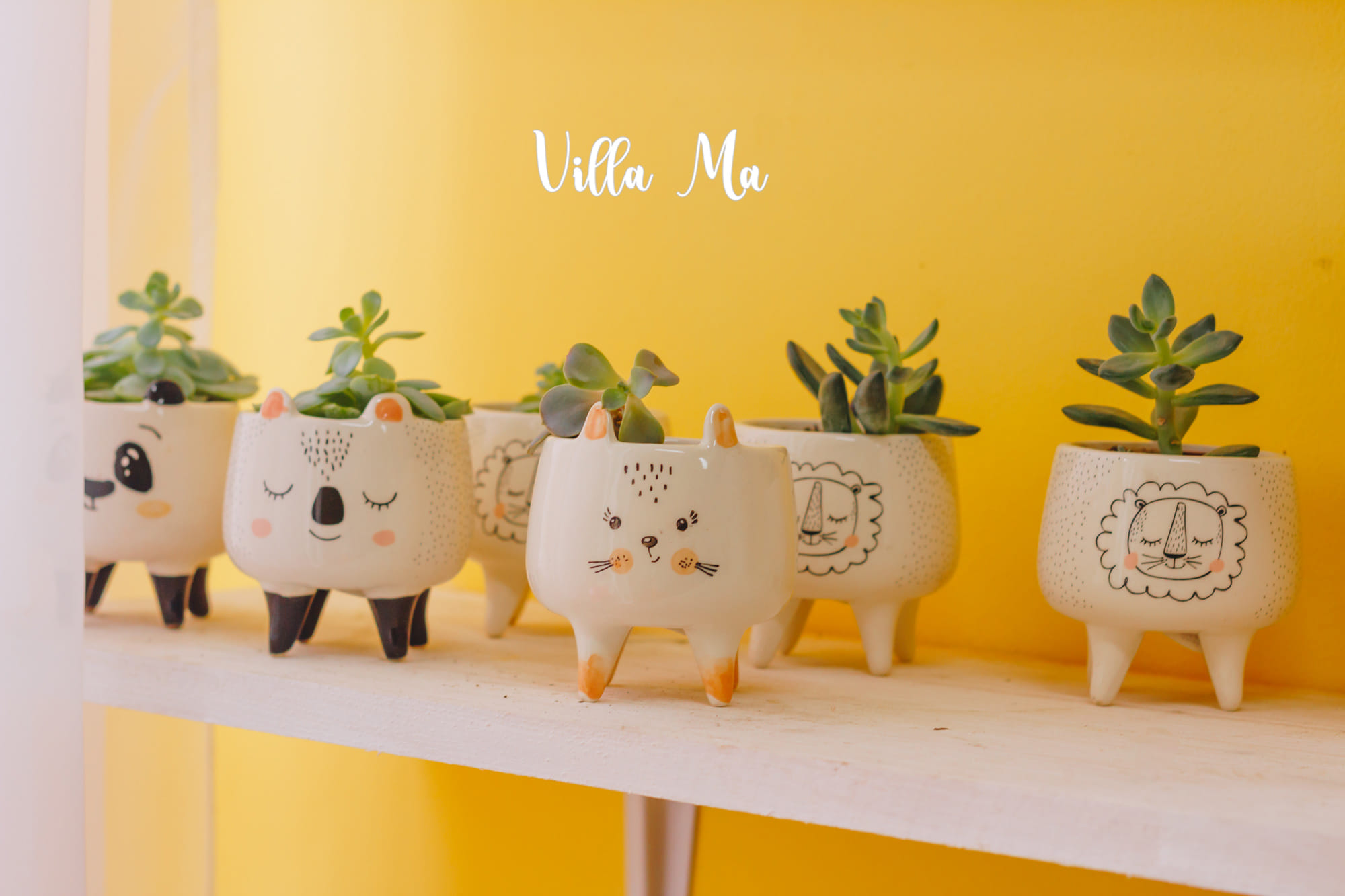 Кашпо "Милые зверята"