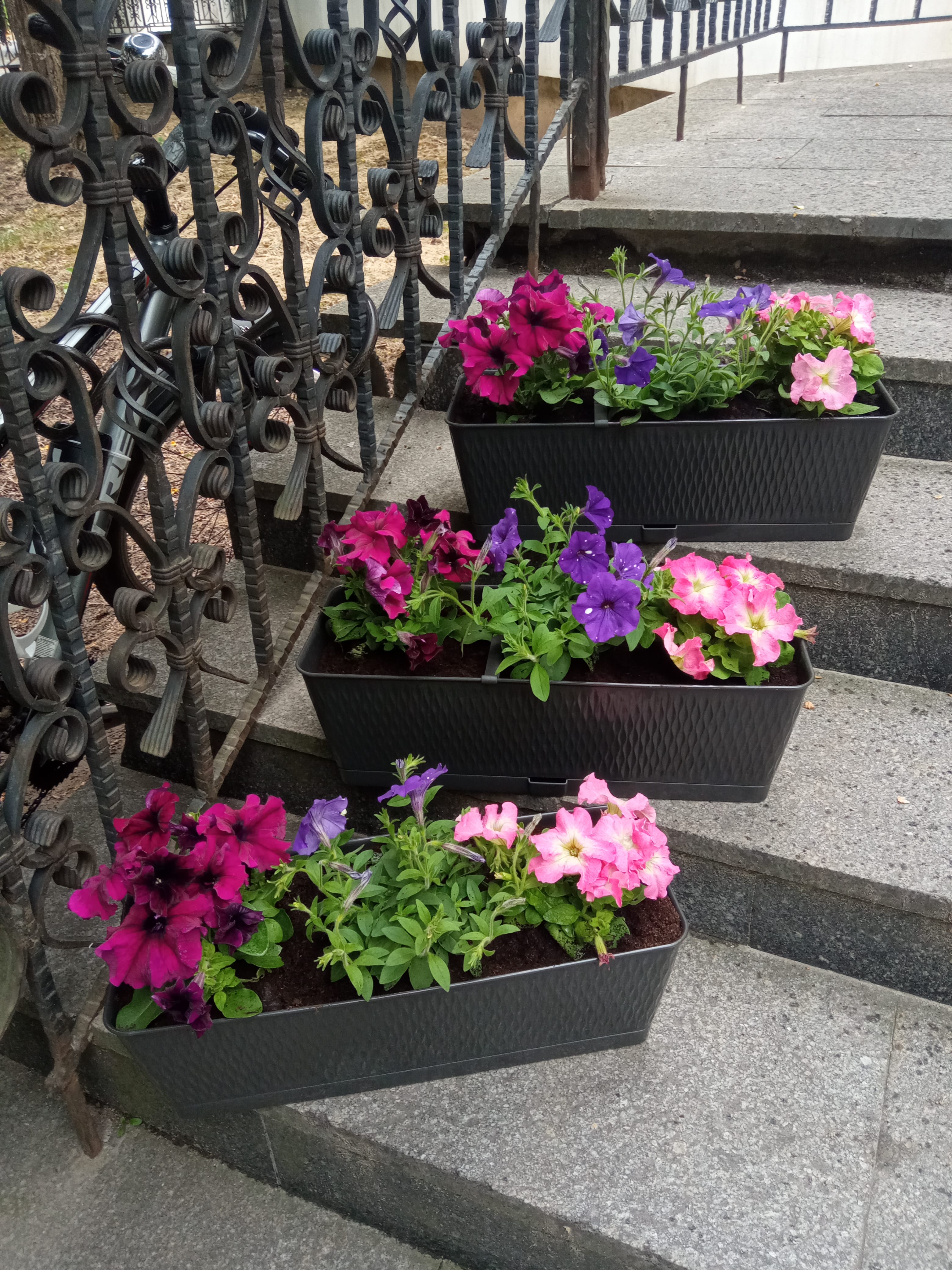 Кашпо готовое с цветами в ящике Ротанг