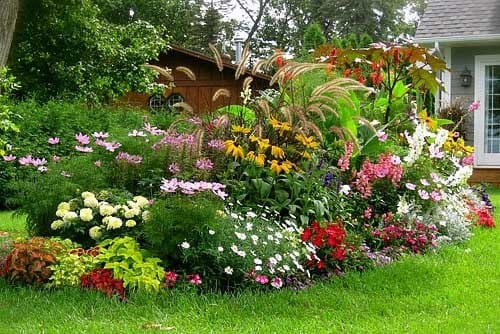 Проект сезонного озеленения