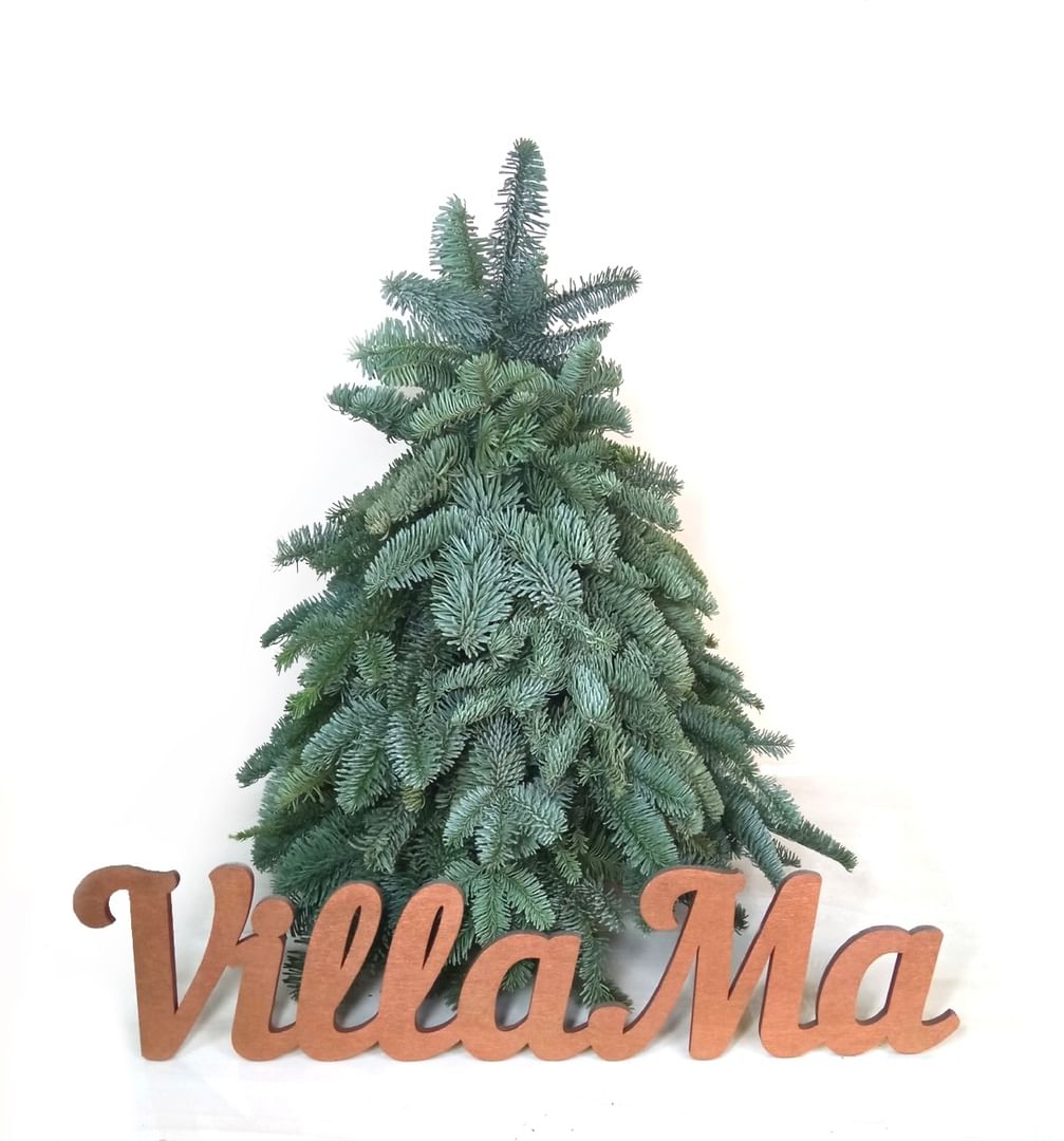 Ёлочка из пихты Нобилис на оазисе