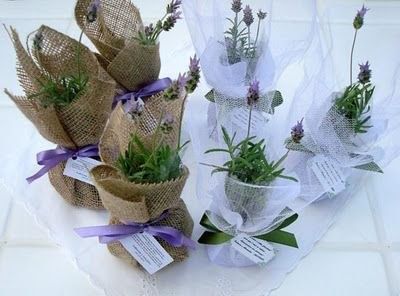 Сувенир из лаванды