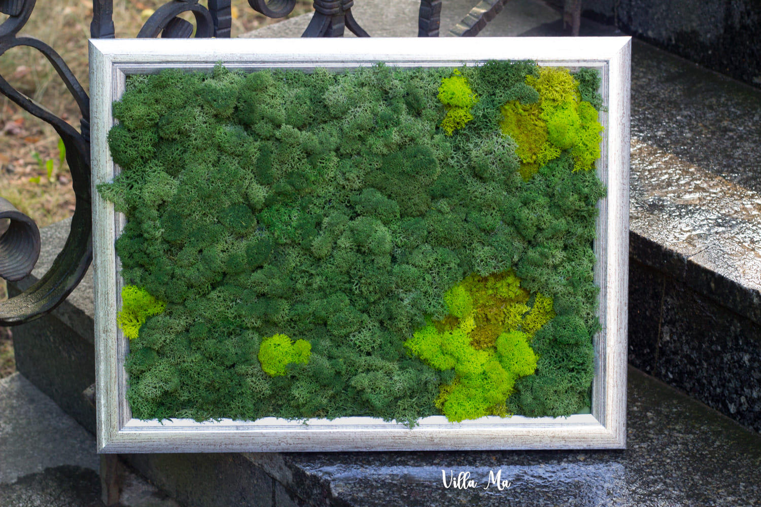 Эко-картина Микс в багетной раме мох стабилиз.