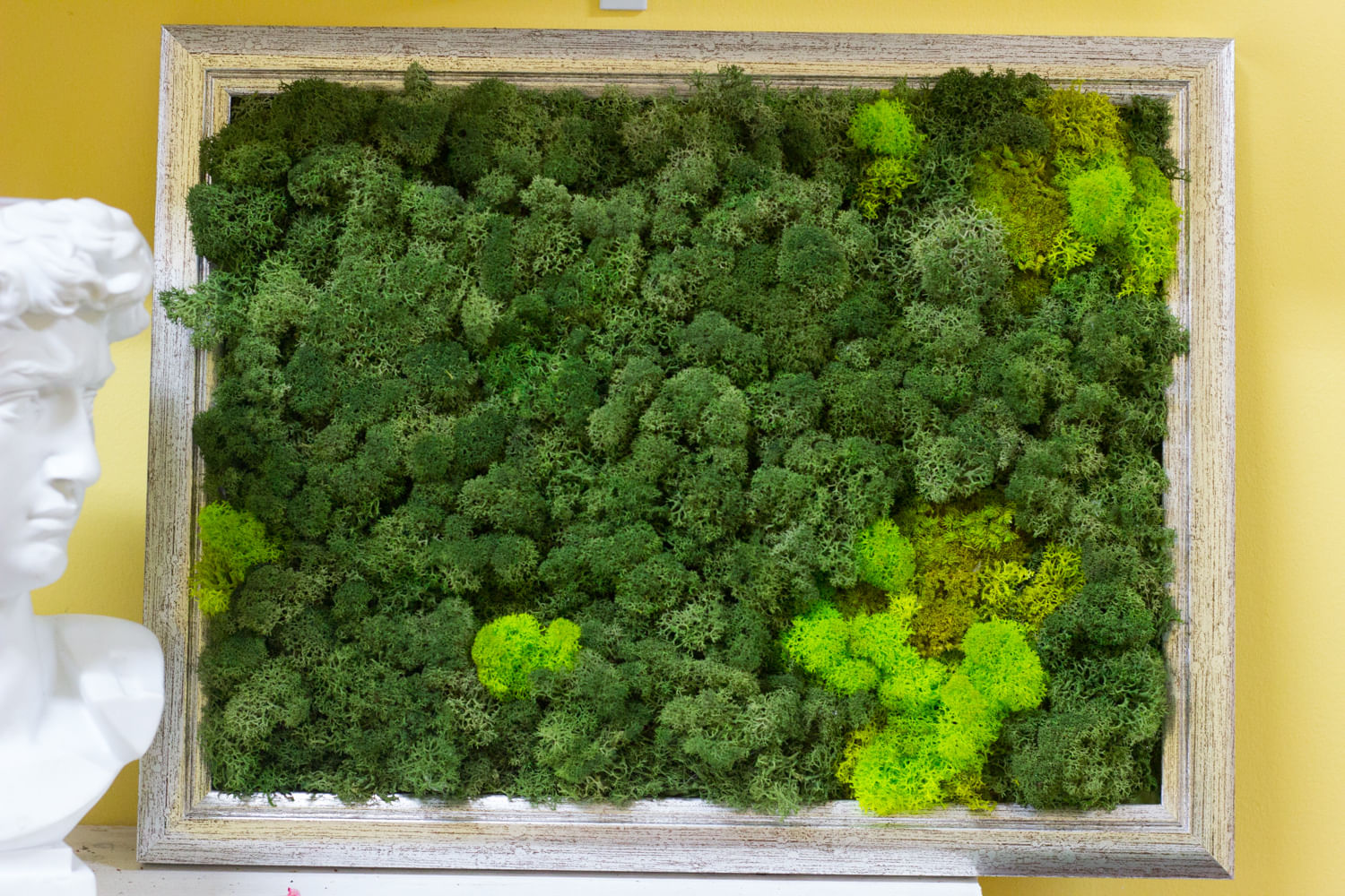 Эко-картина Микс в багетной раме мох стабилиз.