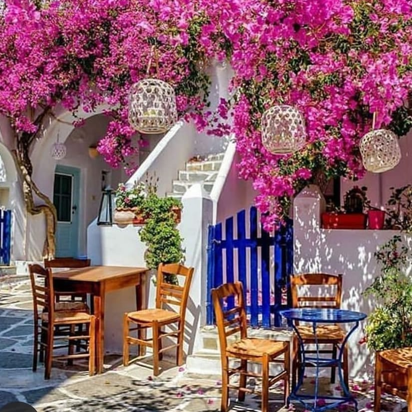 Греция цветы