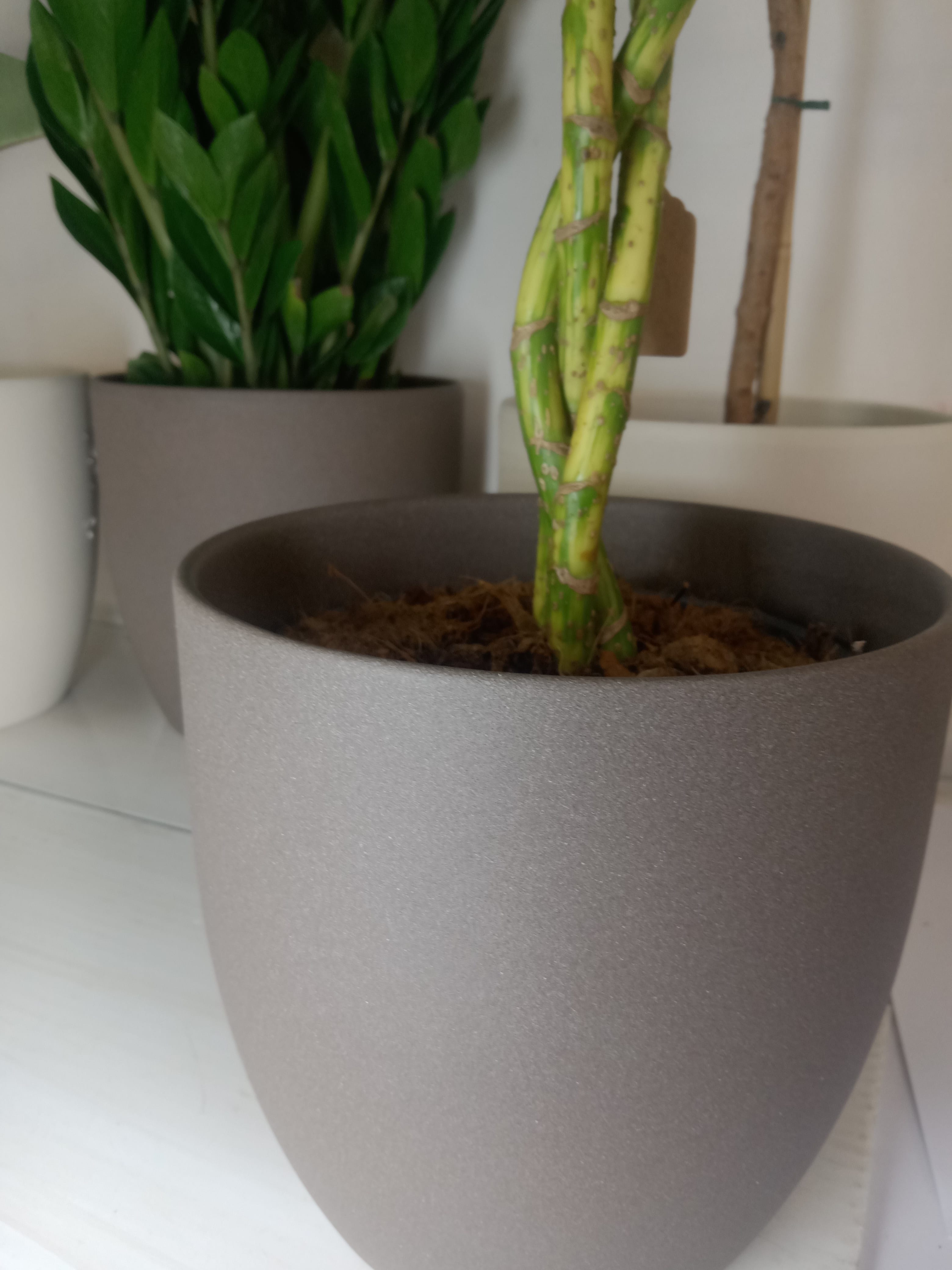 Кашпо Базель