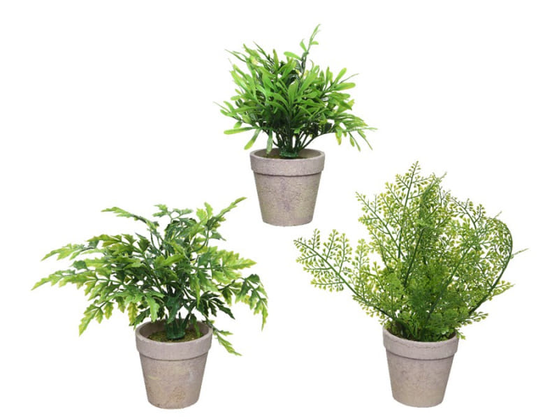 Комнатные цветы в горшочках искусств.