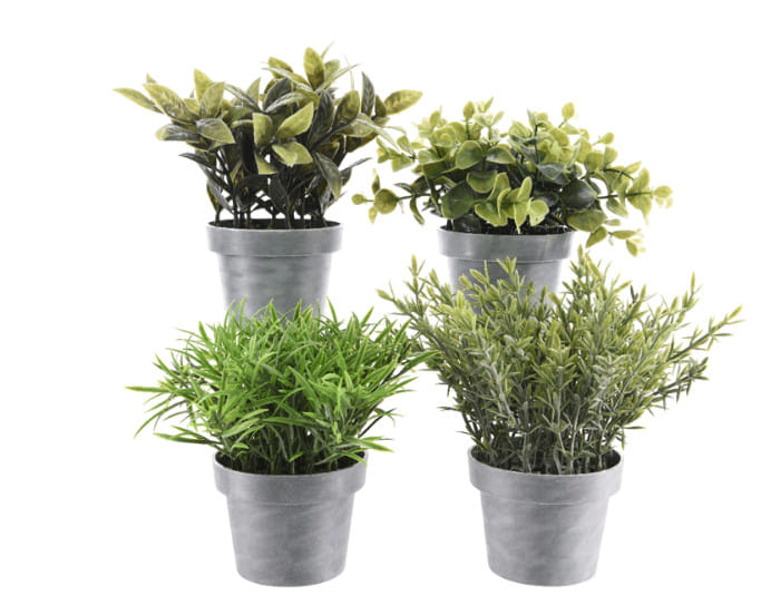 Комнатные цветы в горшочках искусств. купить в Минске — интернет ...