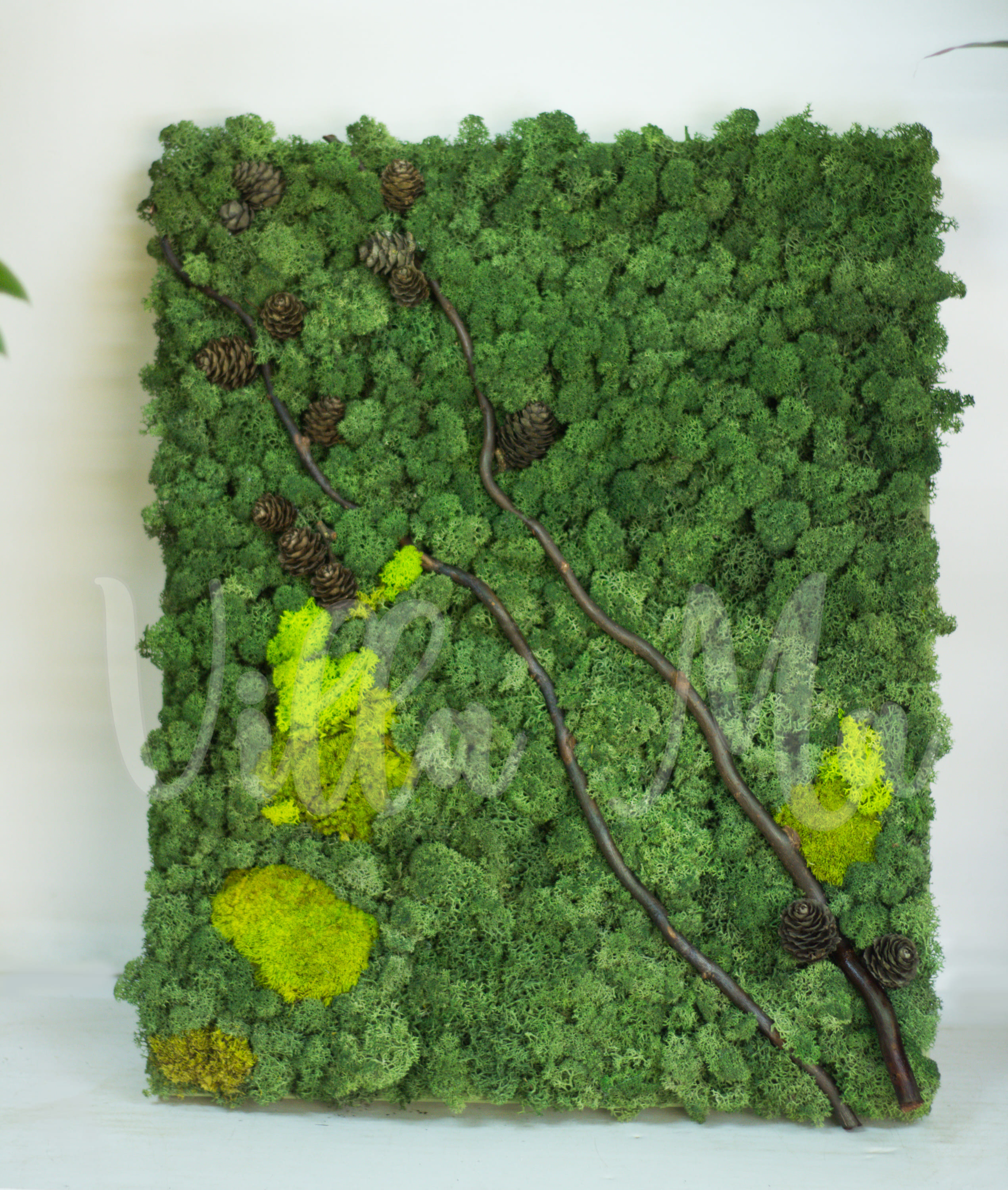 Эко-картина Лесной Этюд мох стабилиз.