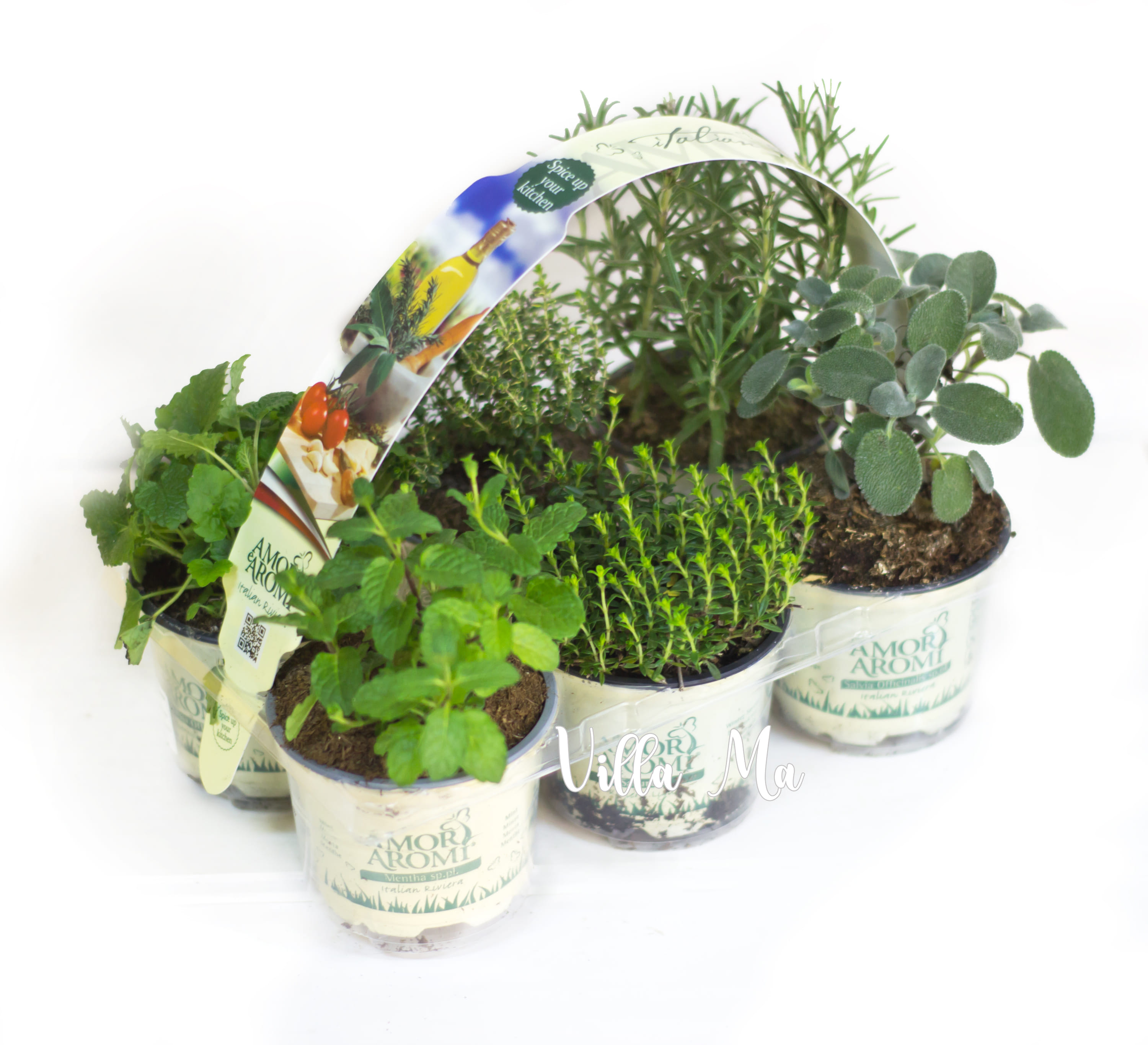 Пряности набор 6 горшочков kruiden