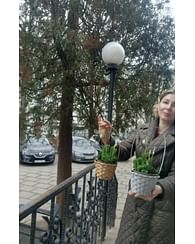 Подснежники в корзинке Подснежники в корзинке