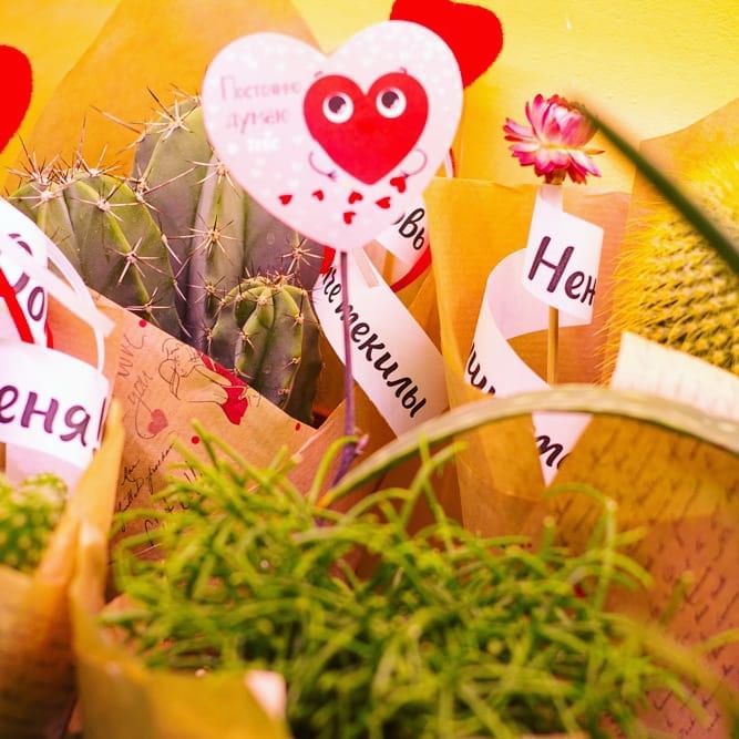 Влюбленный кактус