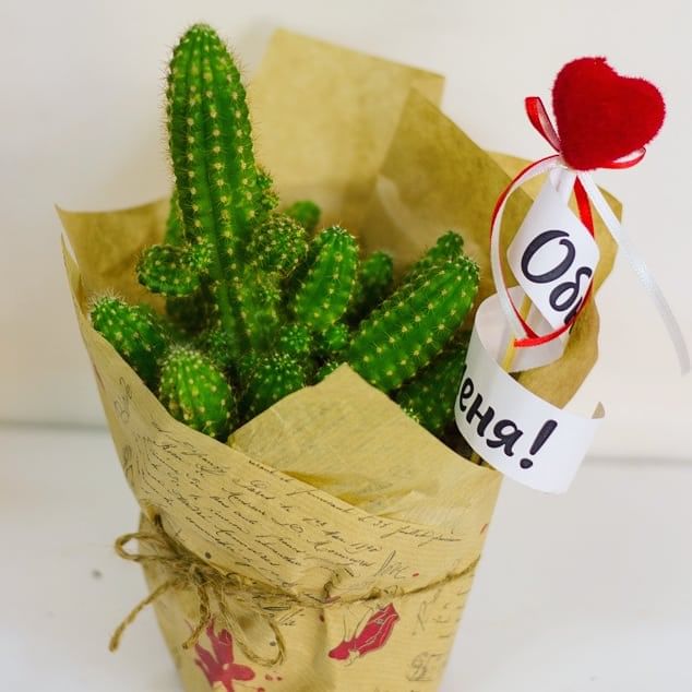 Влюбленный кактус