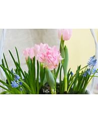 Корзина тюльпаны и первоцветы Шебби Корзина тюльпаны и первоцветы Шебби