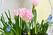 Корзина тюльпаны и первоцветы Шебби