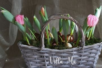 Корзина тюльпаны и первоцветы Шебби
