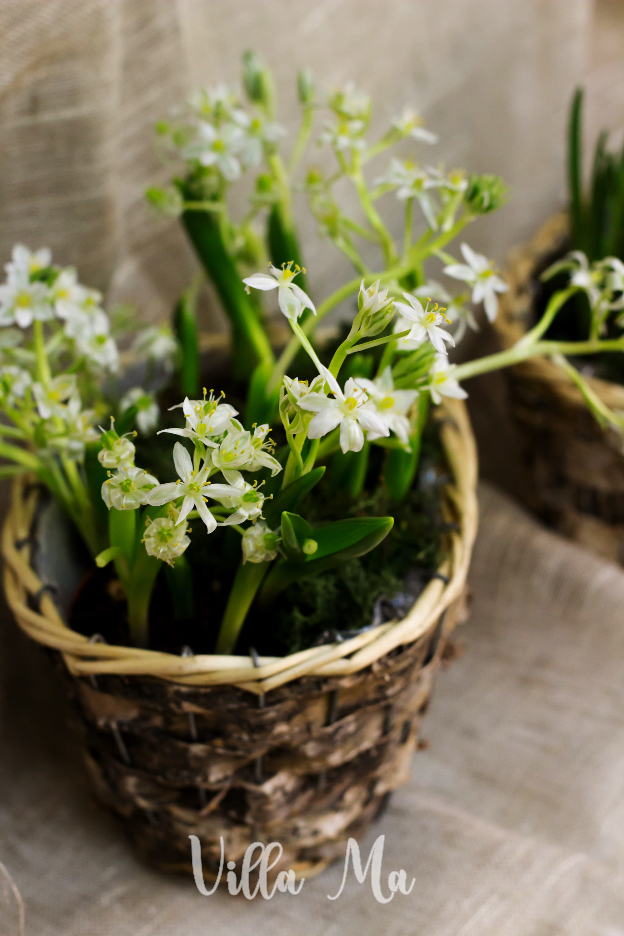 Корзина плетеная натуральная