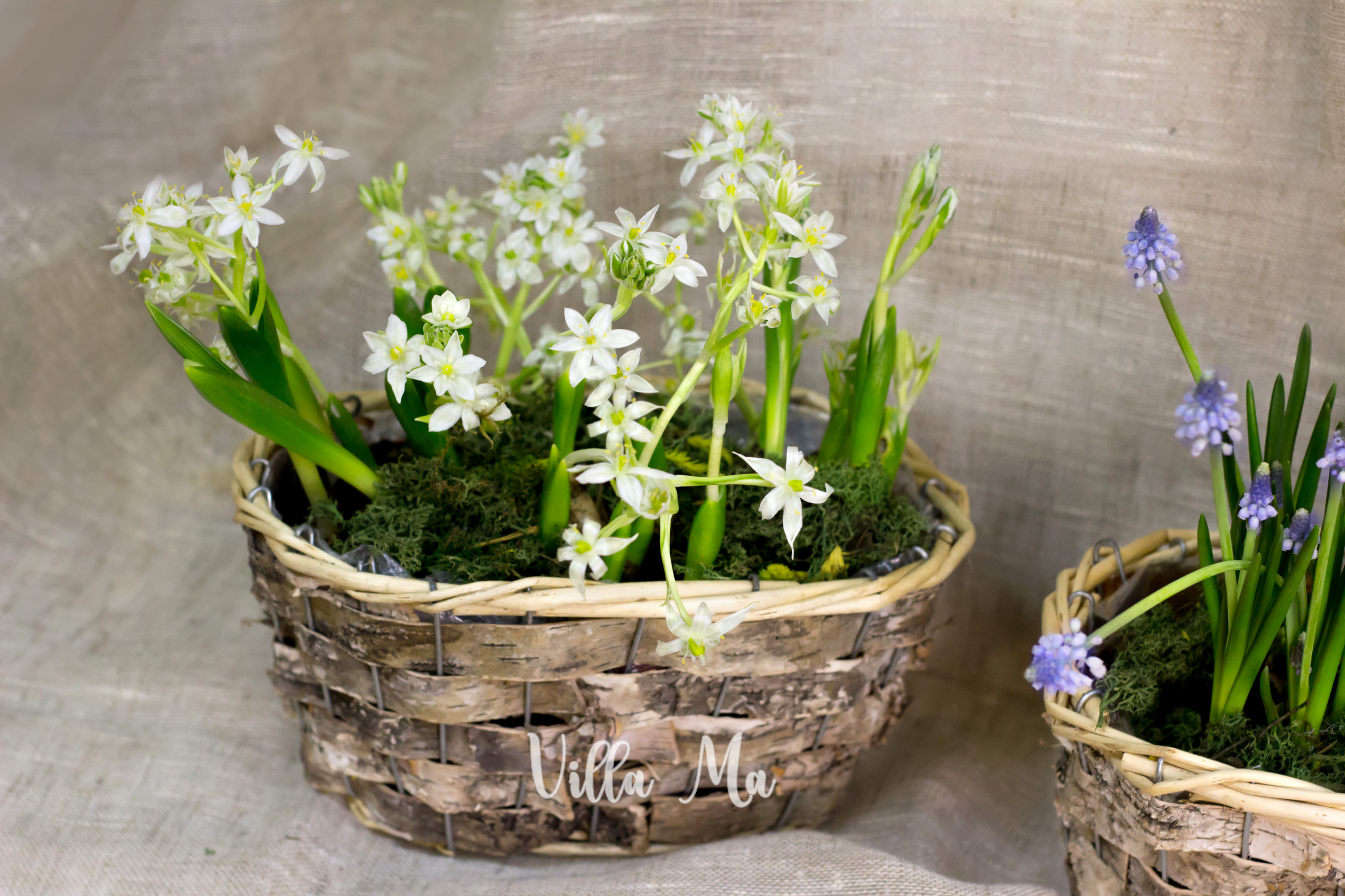 Корзина плетеная натуральная