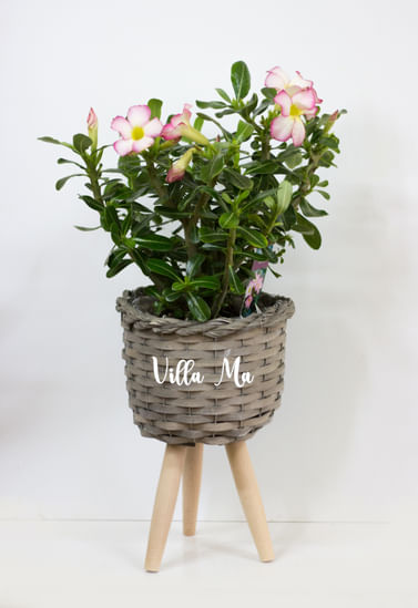 Кашпо для растений плетеное серое