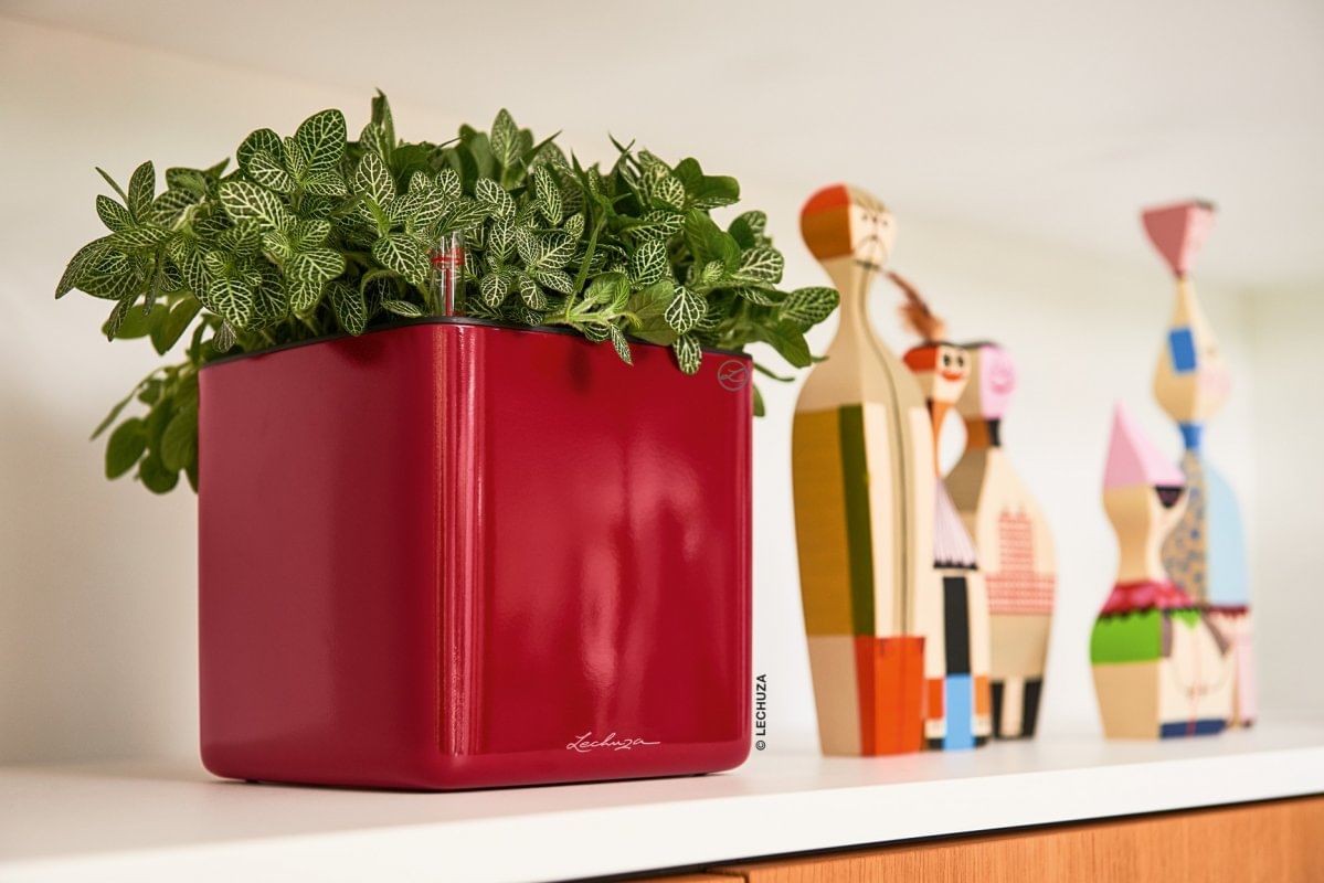 Кашпо Куб Глосси \ Cube Glossy lechuza