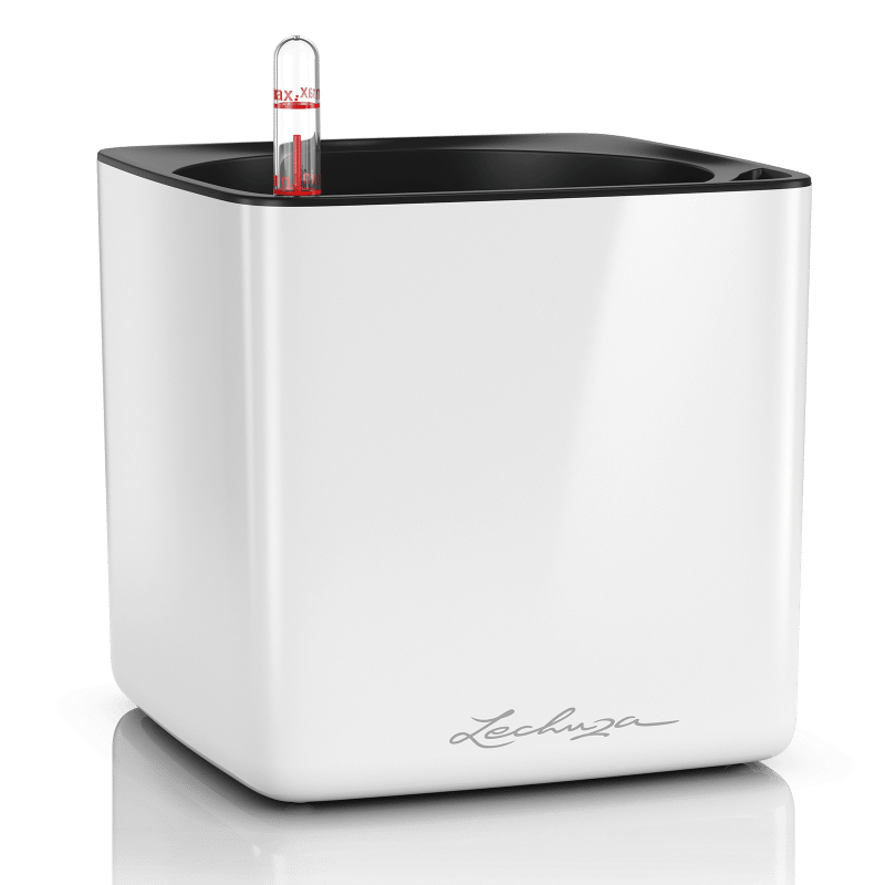 Кашпо Куб Глосси \ Cube Glossy lechuza