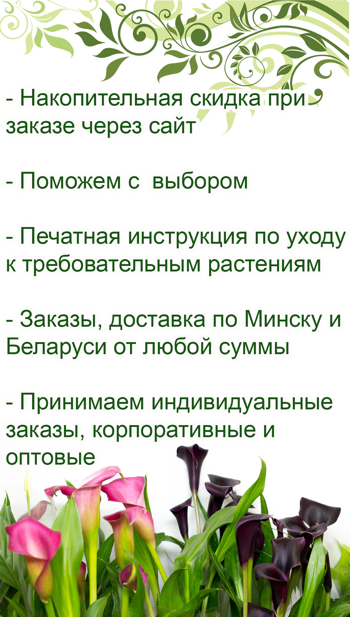 растения и цветы минск купить заказать, цитрусовые растения минск купить заказать, хищные растения дионея саррацения непентес купить заказать минск, горшки кашпо для растений минск купить, оптовые корпоративные частные индивидуальные заказы минск беларусь, растения и цветы с доставкой по минску и беларуси