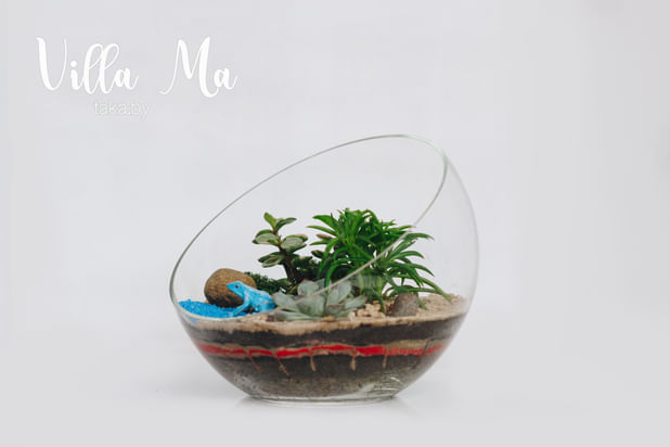 ФЛОРАРИУМЫ