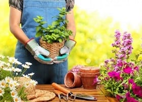 Оформление