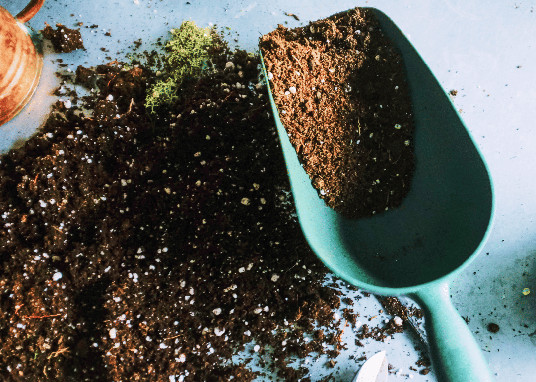 Грунт для растений и добавки