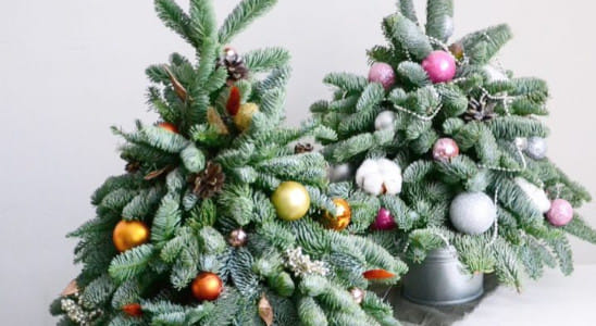 Ёлки из нобилис и НГ фигуры