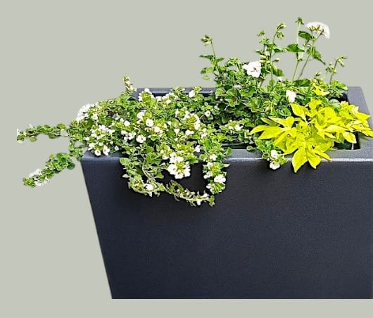 Кашпо композитные ROSTINI