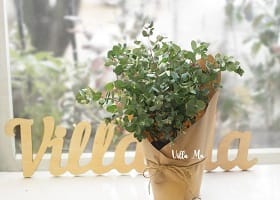 Профессиональные праздники