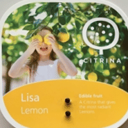 citrina