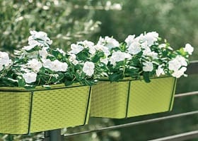 ТОВАРЫ ДЛЯ РАСТЕНИЙ