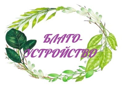Озеленение уличное, посадки