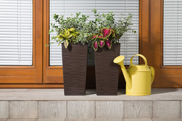 Товары для растений