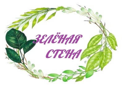 Вертикальное озеленение