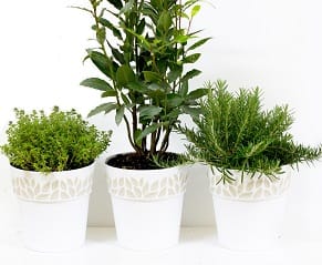 Пластиковые горшки ящики