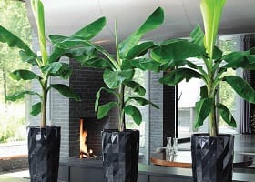 Крупномеры для интерьера