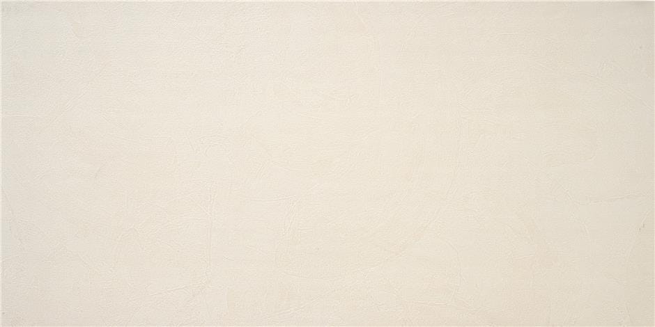 Керамический гранит STN Ceramica 59,5х120 P.E. Phase Ivory мат